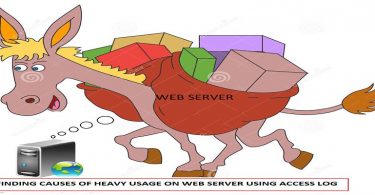 heavy-usage-on-web-server