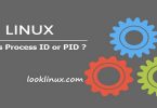 LINUX_Process_ID
