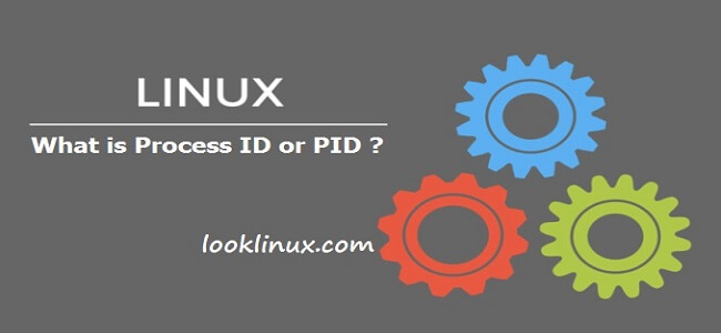 linux thread process id