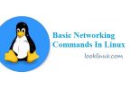 basic-networking-commands