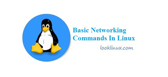 Feature image basic-networking-commands