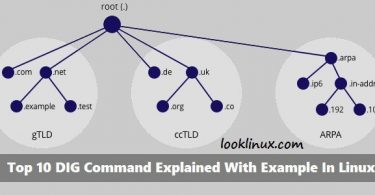 dig-command-example