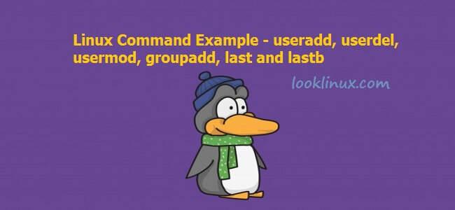 Feature image linux-command-example