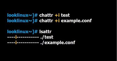 chattr-command-examples-in-linux-750x430