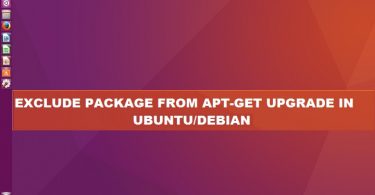 exclude-package-from-apt-get-upgrade