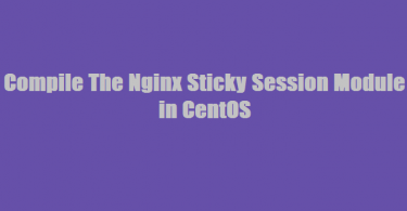 Nginx-sticky-session