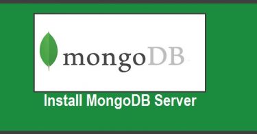 install-mongodb-server