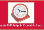 Execute PHP Script in Crontab in Linux