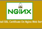 Install-SSL-Certificate-On-Nginx-Web-Server