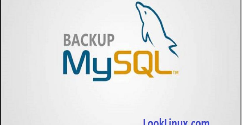 MySQL Database Backup Types