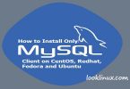 mysql-client