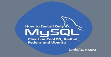 mysql-client