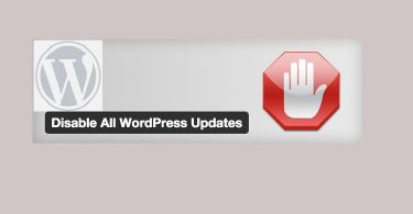Disable-automatic-update-wordpress-750x430