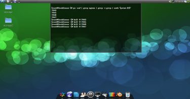 find-id-and-kill-process