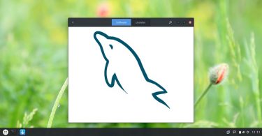 restore-mysql-database