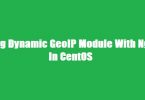 GeoIP-in-nginx