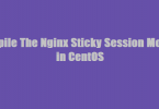 Nginx-sticky-session