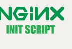 nginx-init-script
