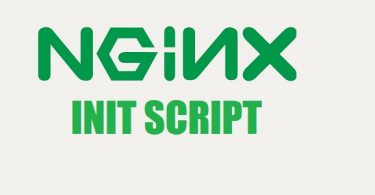 nginx-init-script