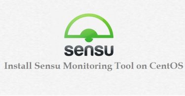 Install-Sensu