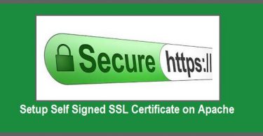 Setup-Self-Signed-SSL-Certificate-on-Apache