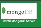 install-mongodb-server