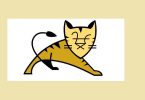 tomcat-8