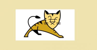 tomcat-8